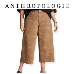 Anthropologie Pilcro James Taupe Tan Fade Wide Leg Capri Pants Size 25 EUC